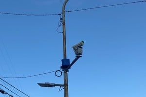 Equipos automáticos de luz láser para reducir la concentración de aves en sectores críticos del centro.