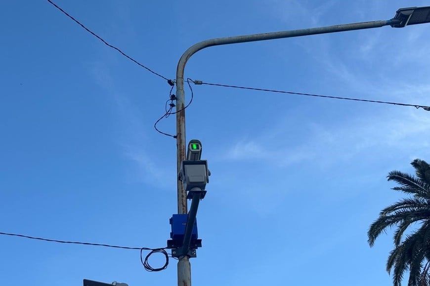 Equipos automáticos de luz láser para reducir la concentración de aves en sectores críticos del centro.