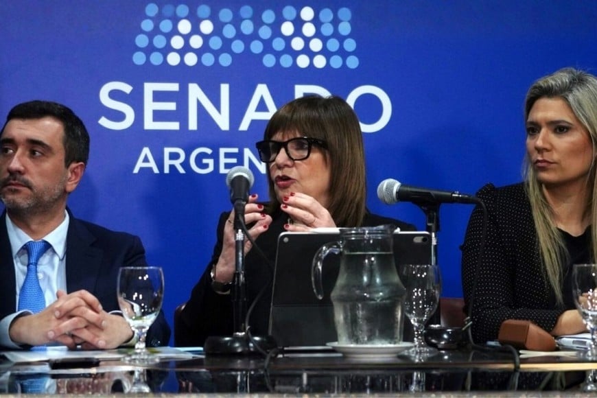 coto bullrich marquez