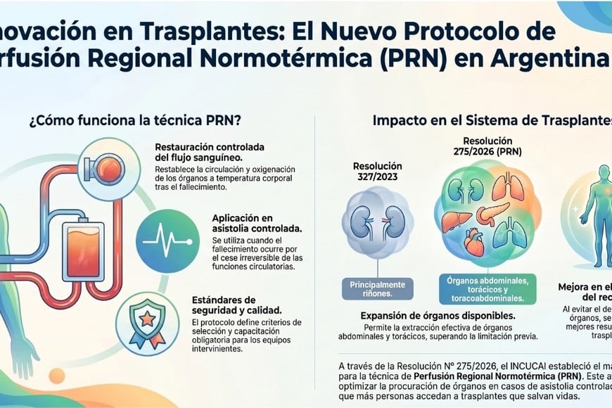 Cómo funciona la técnica de preservación