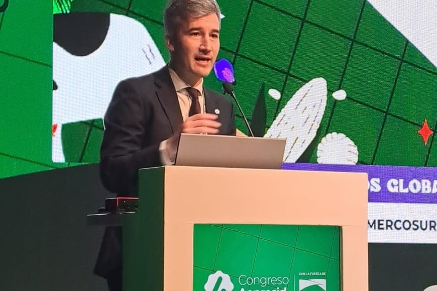 Agustín Tejeda calificó al tratado como "un hito, como un antes y un después en la inserción internacional de la Argentina.