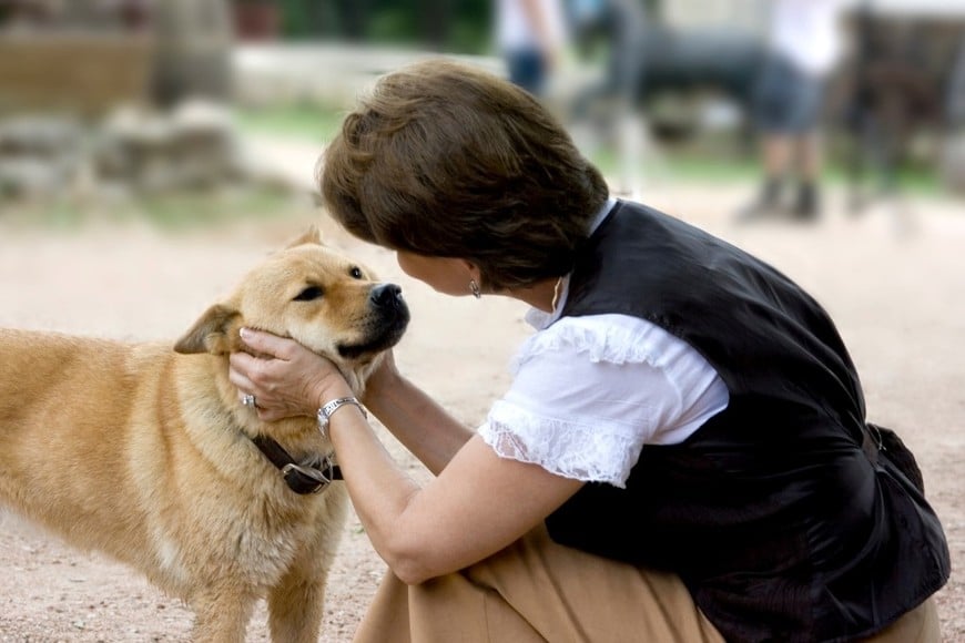 Los animales de compañía generan fuertes vínculos emocionales.