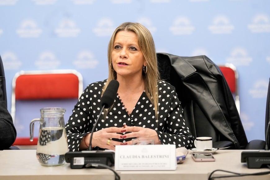 La subsecretaria de Ingresos Públicos, Claudia Balestrini.