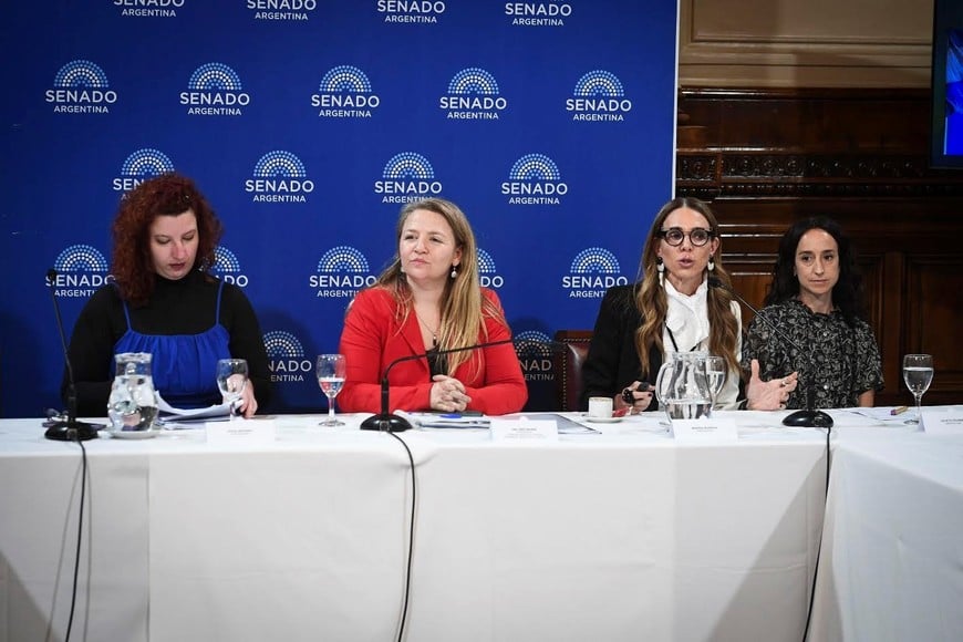 Comisión Banca de la Mujer Senado.
HCSN
