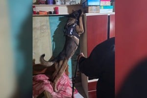 La Sección Canes de la policía prestó colaboración. Foto: El Litoral
