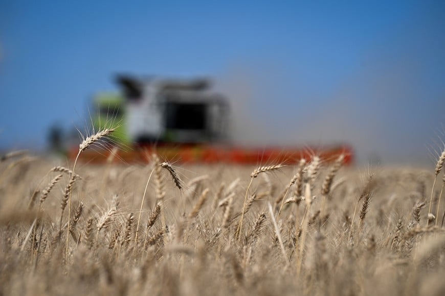 A farmer harvests wheat, as the country's major grain exchanges forecast a record 2025/26 wheat crop for Argentina, one of the world's top grain suppliers, in Benito Juarez, Argentina, December 26, 2025. REUTERS/Martin Cossarini