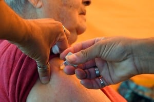 El programa de inoculación gratuita continúa