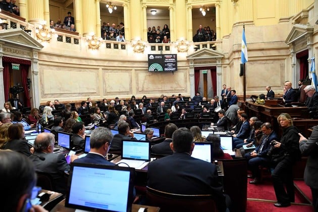 La Cámara le dio media sanción al proyecto oficialista.