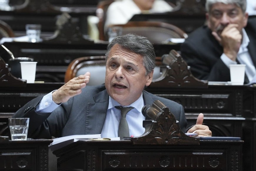 Giuliano pidió priorizar las regiones con mayor vulnerabilidad ambiental.