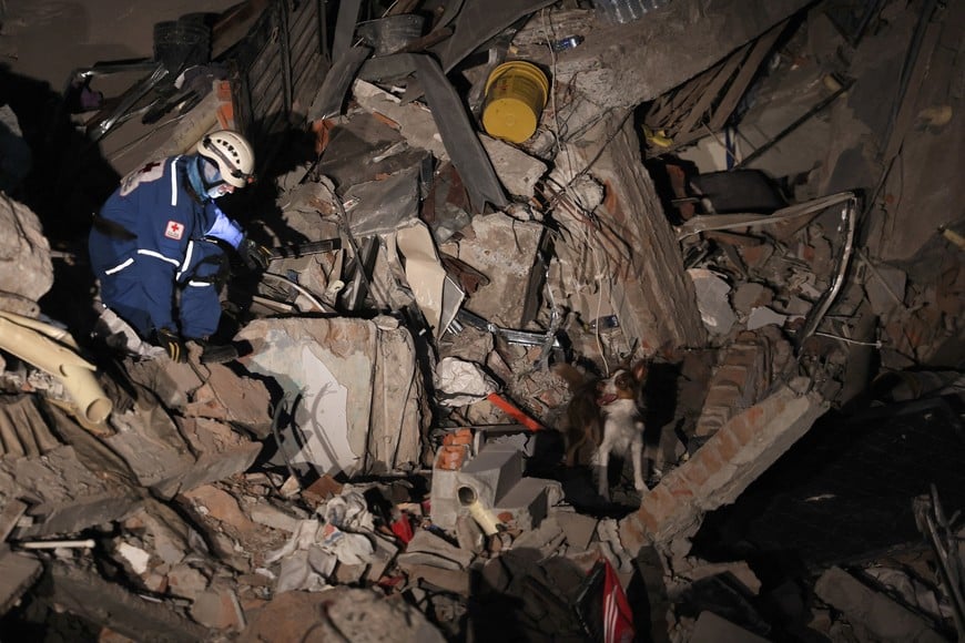 A rescue dog stands amid rubble as a recuer works at the site of a damaged building following an earthquake, in Pereira, Colombia, August 11, 2026. REUTERS/Luisa Gonzalez