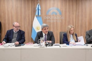 la comisión de Familias, Niñez y Juventudes, que presidió el diputado nacional Pablo Yedlin (UxP) avanzó con el proyecto.