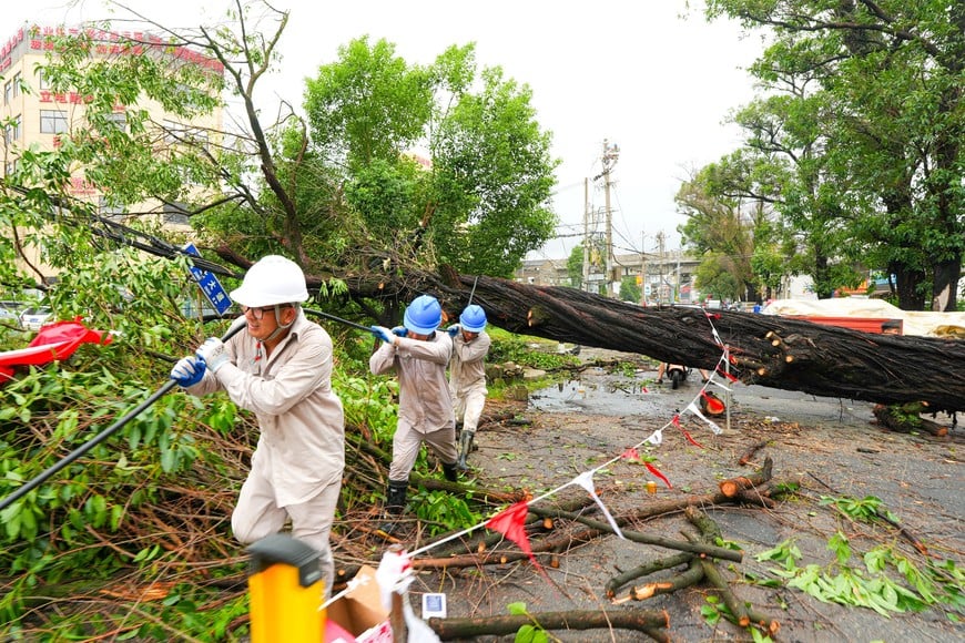 Power restoration workers clear a fallen tree and restring power lines following heavy rainfall brought by Typhoon Dolphin, in Yongjia county of Wenzhou city, Zhejiang province, China August 10, 2026. cnsphoto via REUTERS ATTENTION EDITORS - THIS IMAGE WAS PROVIDED BY A THIRD PARTY. CHINA OUT. NO COMMERCIAL OR EDITORIAL SALES IN CHINA
