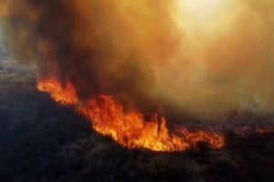 Tiró las brasas del asado y provocó un incendio forestal en Córdoba.