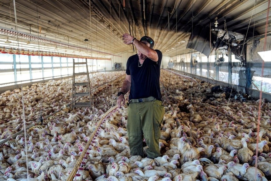 A member of a rapid response team responds to damage at a chicken coup, after Hezbollah launched hundreds of rockets and drones towards Israel in what the Iranian-backed movement said was a response to the assassination of a senior commander in Beirut last month, in northern Israel August 25, 2024. REUTERS/Ayal Margolin ISRAEL OUT. NO COMMERCIAL OR EDITORIAL SALES IN ISRAEL TPX IMAGES OF THE DAY