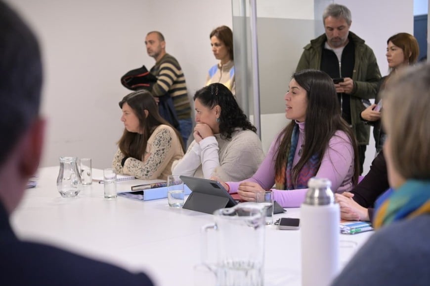 Reunión en la Comisión de Educación de Diputados.