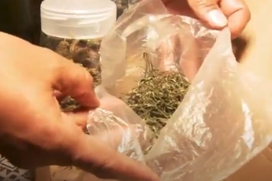 Condenaron a dos hermanos atrapados en la puerta de su casa con 1,5 kilos de marihuana
