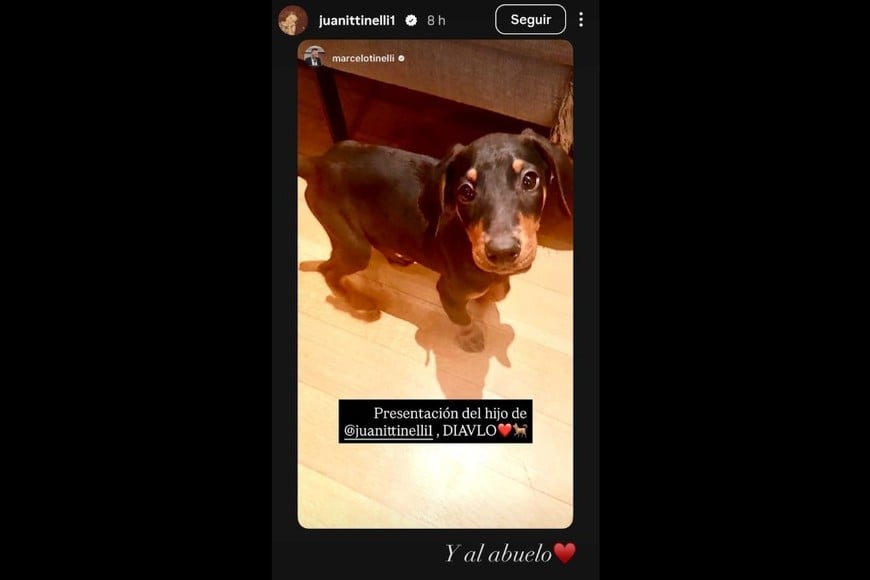 La joven compartió una tierna imagen junto a su nueva mascota.