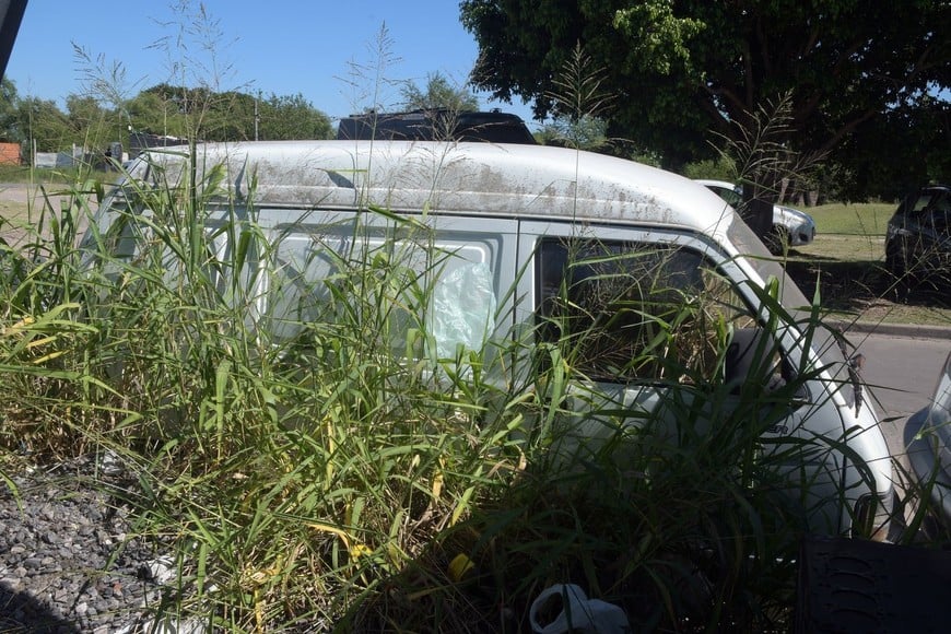 En El Pozo, una vieja combi fue "tomada" por la vegetación. Foto: Guillermo Di Salvatore