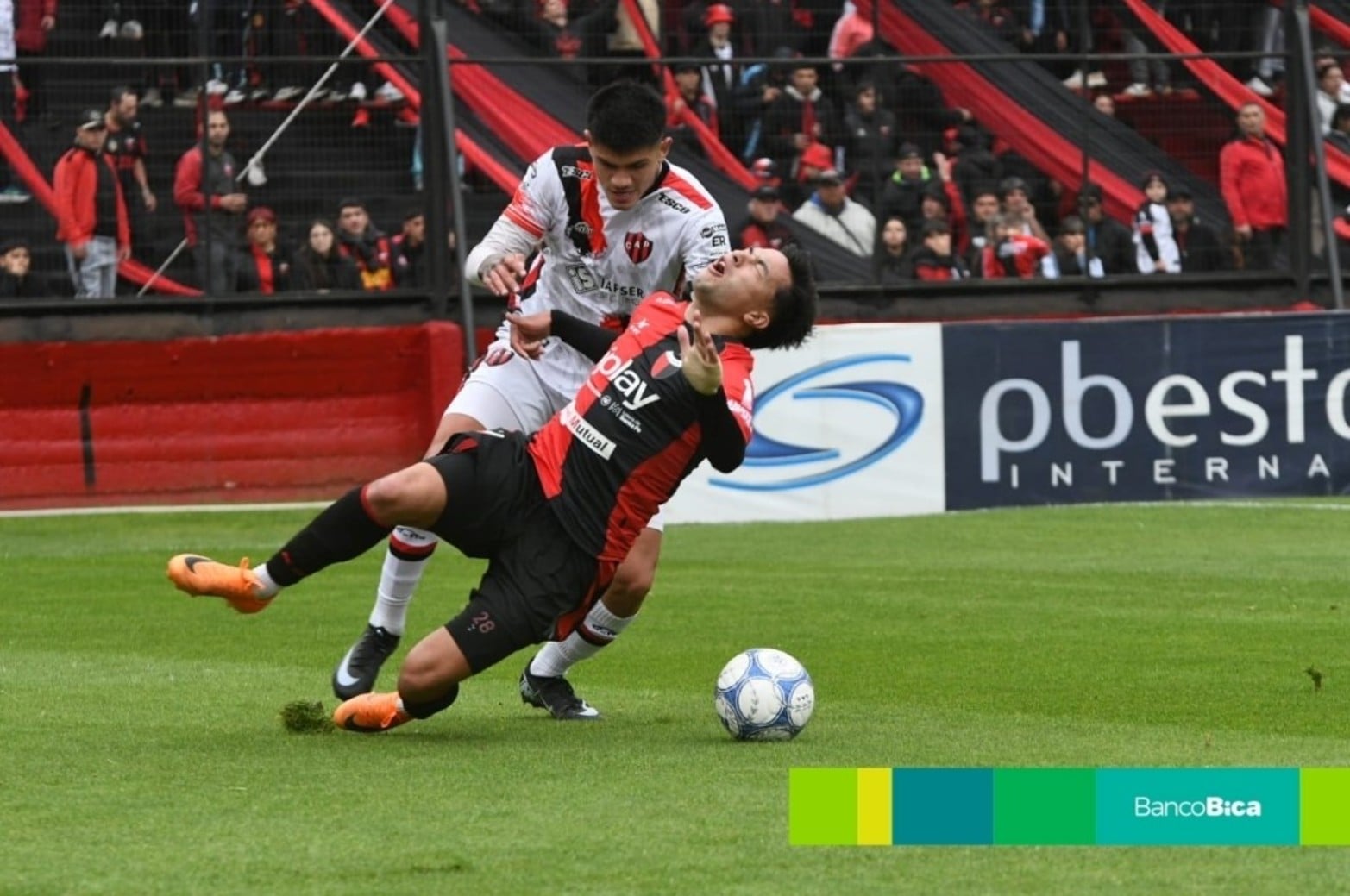 Galería BICA: Colón-Patronato