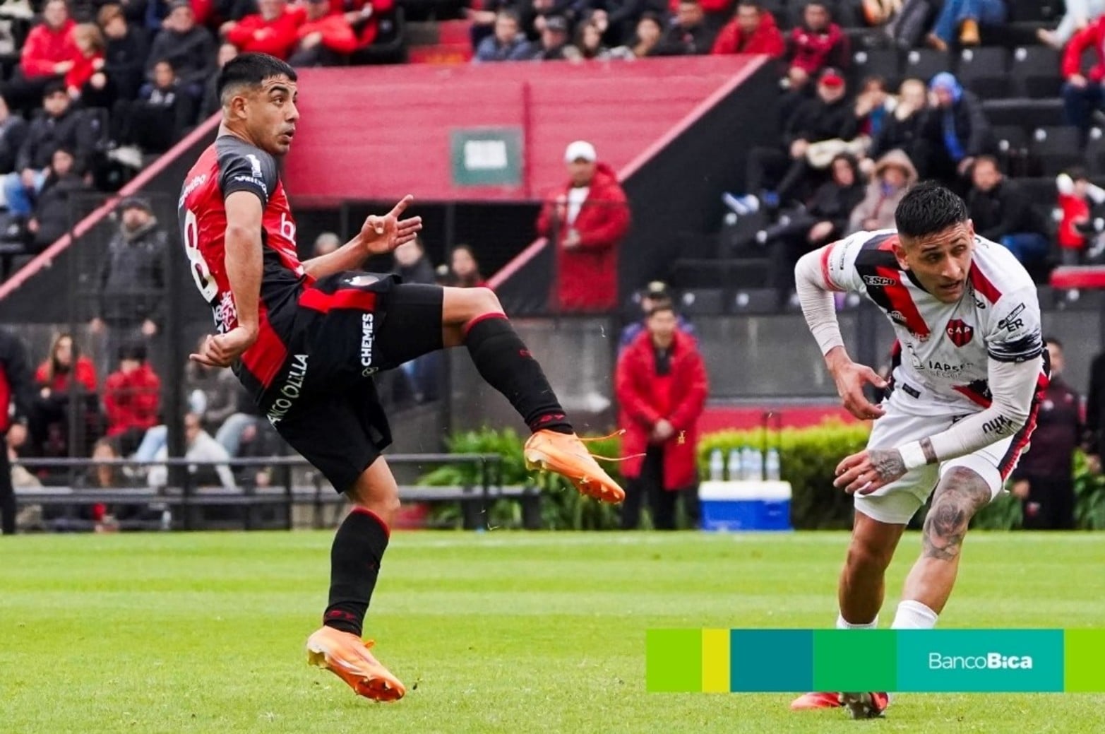 Galería BICA: Colón-Patronato