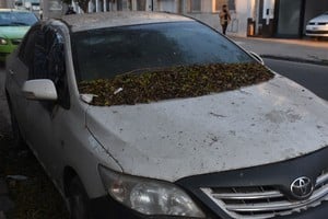 Un coche abandonado en el macrocentro: mugre y un nylon como ventanilla. Foto: Luis Cetraro