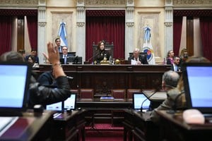 El Senado de la Nación se apresta a tratar una nueva tanda de pliegos judiciales.
Gentileza HCSN