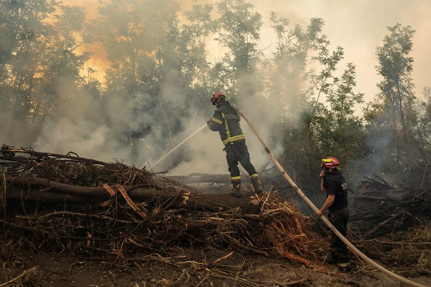 Firefighters battle a wildfire in Deliblatska Pescara, Serbia, August 18, 2026. REUTERS/Marko Djurica
