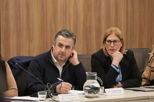 Pablo Cococcioni y Gisela Scaglia este miércoles en el Congreso. Crédito: Gobierno de Santa Fe