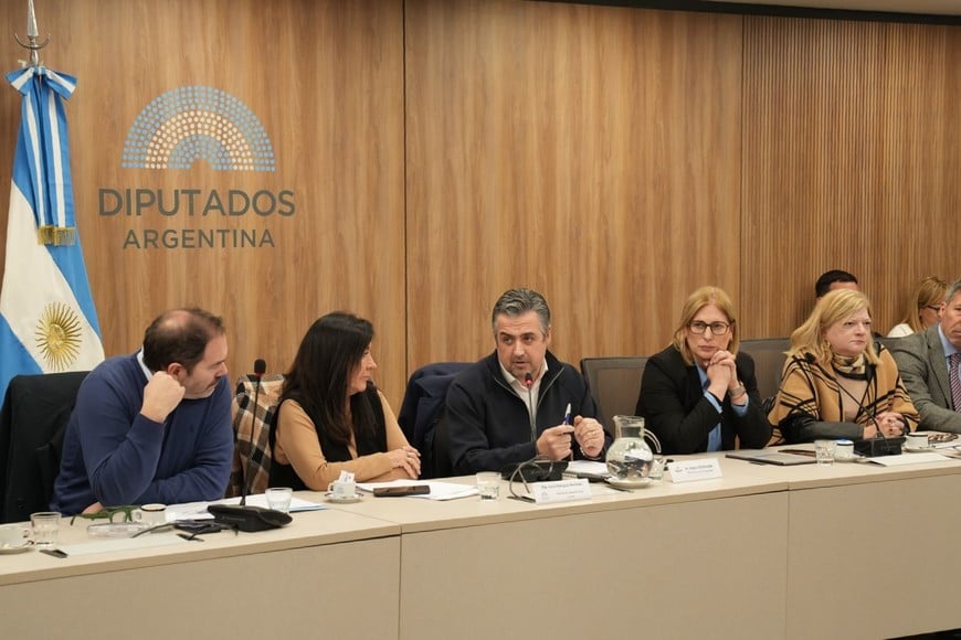 Comisión de Legislación Penal de la Cámara de Diputados de la Nación. Crédito: Gobierno de Santa Fe