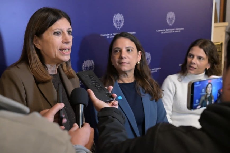 Clara García encabezó el acto realizado en la Cámara de Diputadas y Diputados.