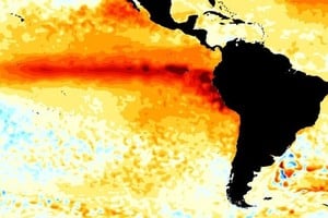 La franja roja indica la presencia del fenómeno El Niño.
Gentileza CIIFEN.