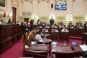 Cámara de Diputados de Santa Fe este jueves. Crédito: Prensa Legislatura