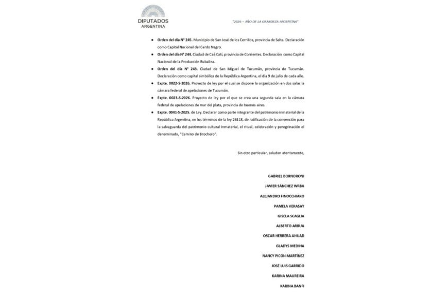 El documento presentado este viernes en Diputados.