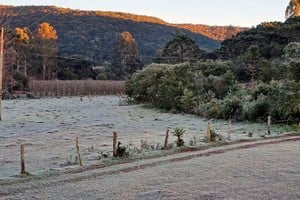 Localidades serranas se vieron sorprendidas este fin de semana por las bajas temperaturas. Metsul