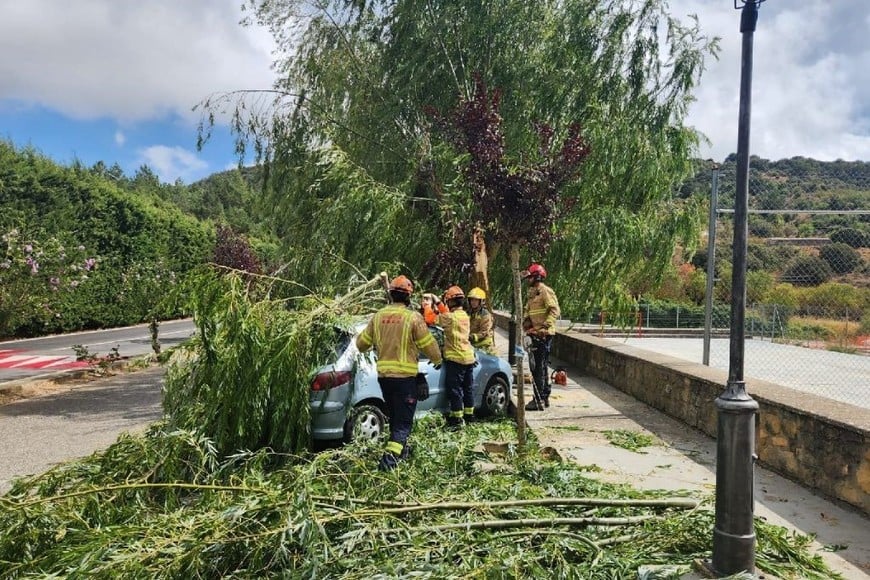 Los bomberos han atendido una quincena de incidencias relacionadas con las tormentas, la mayoría al suroeste de Cataluña por árboles caídos.