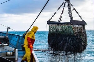 En agosto, al normalizarse la base comparativa, el sector mostró una pérdida de dinamismo y tres meses consecutivos de baja en su serie tendencia-ciclo.