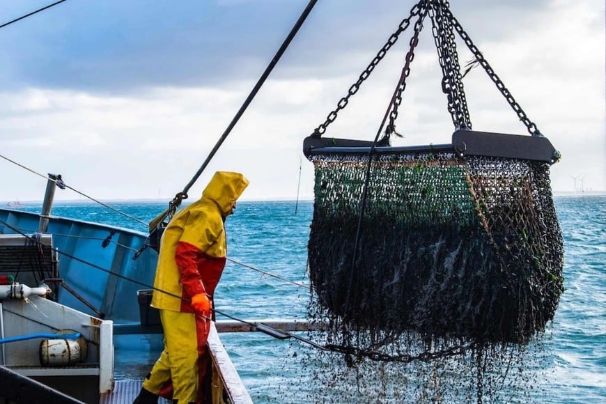 pesca atlantico sur