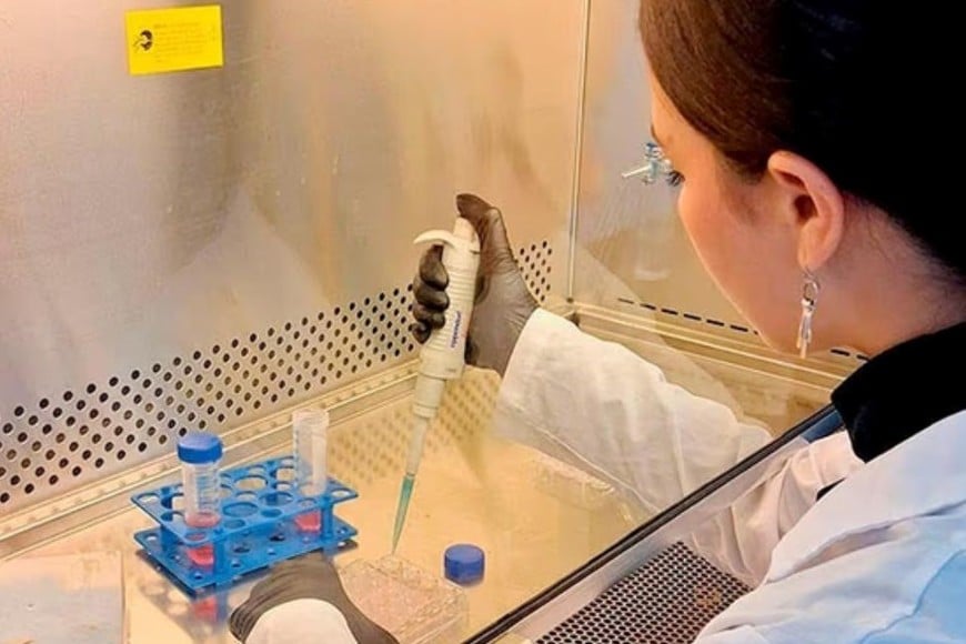 Las patologías vinculadas con el neurodesarrollo comprenden un conjunto amplio de condiciones