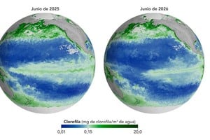 La NASA compartió un nuevo informe vinculado al fenómeno climático. Gentileza