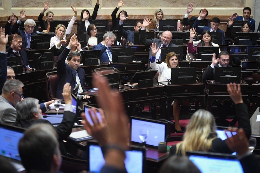 senado de la nacion