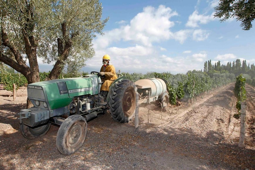 A worker waters a vineyard at the CAP Vistalba winery in Mendoza February 1, 2013. Argentina is the world's sixth largest wine-producing country, according to the FAO (Food and Agriculture Organization of the United Nations), with the eastern flank of the Andes near Mendoza being its premier region. REUTERS/Enrique Marcarian (ARGENTINA - Tags: AGRICULTURE BUSINESS FOOD) mendoza vista de los viñedos bodega vistalba argentina sexto pais mas grande del mundo vinicola trabajador en los viñedos