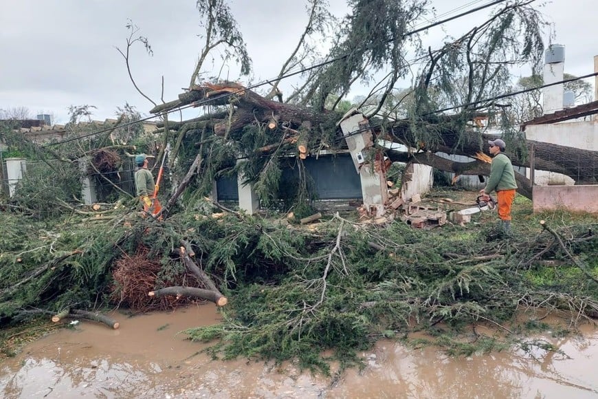 La Provincia asiste a las localidades de Las Rosas y San Genaro tras el temporal