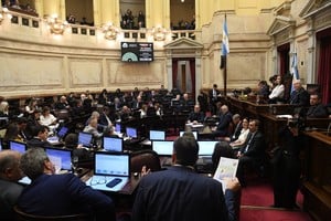 La iniciativa aprobada en el Senado busca sumar divisas al circuito formal mediante cambios en las declaraciones juradas y beneficios para los contribuyentes.