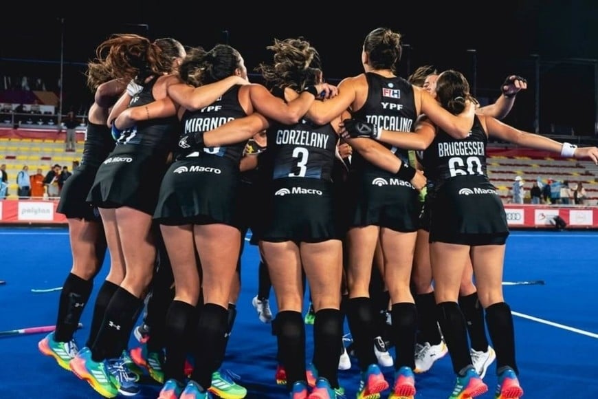 las leonas