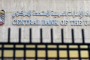 El Banco Central de los Emiratos Árabes Unidos.