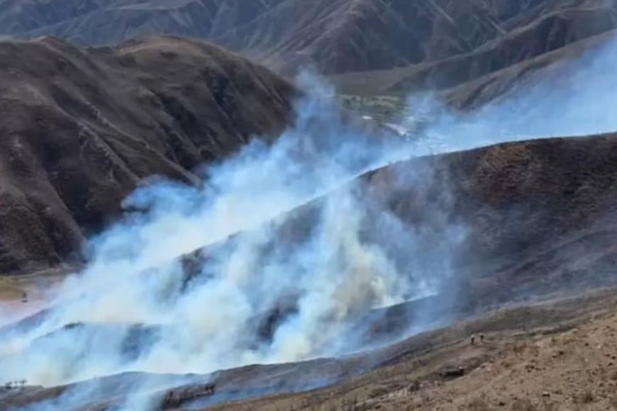 Un nuevo incendio de vegetación se registró en las últimas horas