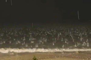 Tormenta de granizo azota Santa Catarina: caos y destrucción en Florianópolis y Canasvieiras.