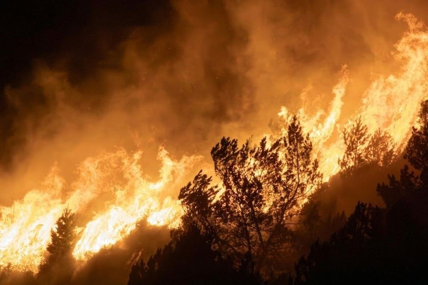 El riesgo de incendio aumenta cuando la vegetación pierde humedad