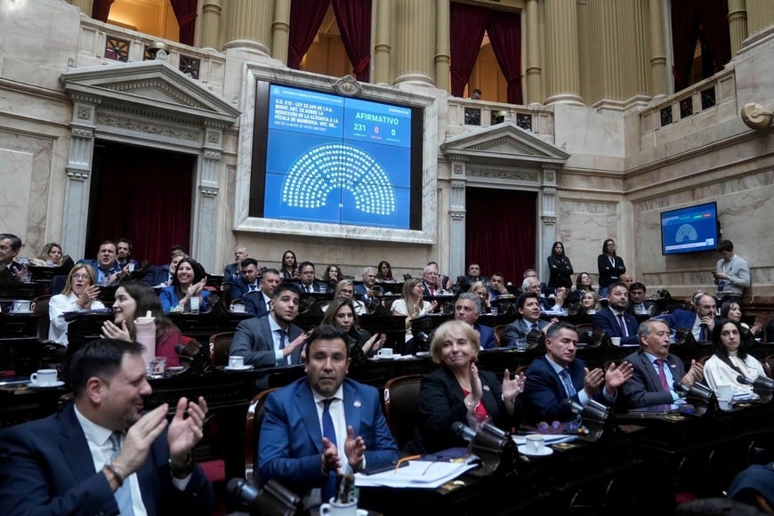 El Congreso de la Nación tiene presentados casi cincuenta proyectos.