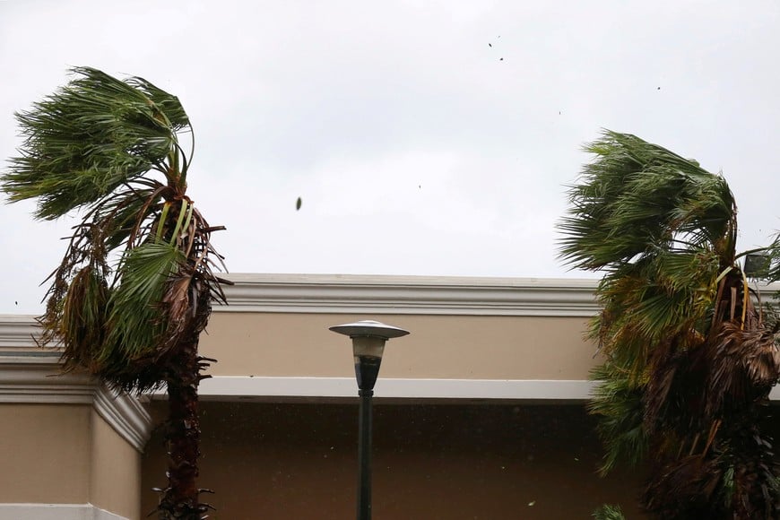 Palm trees sways in the wind during Hurricane Sally in Mobile, Alabama, U.S., September 16, 2020. REUTERS/Jonathan Bachman